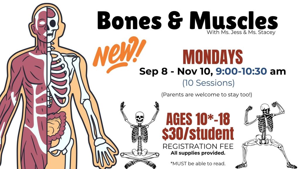 Homeschool Enrichment: Bones & Muscles